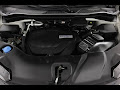 2019 Honda Passport Elite